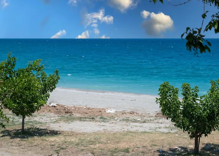 Duchess Eva's Seafront Χορευτό